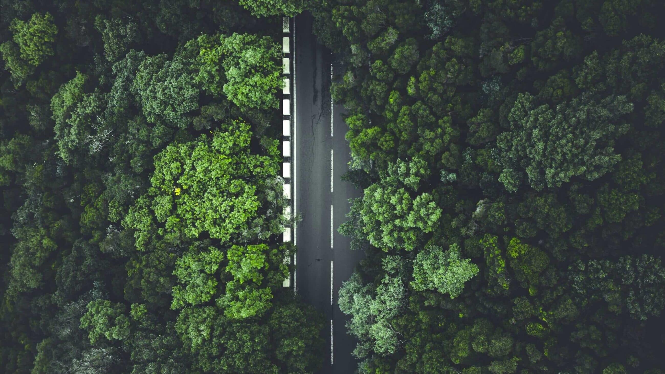 Battery and Fuel Cell Systems for Sustainable Mobility